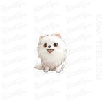 White-Pomeranian-Sticker